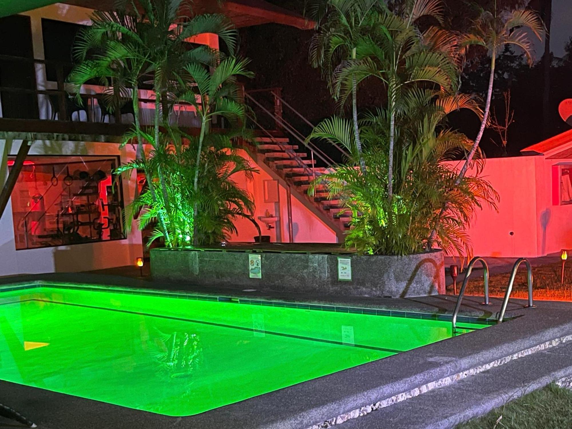 Parrot Resort Moalboal Exterior foto